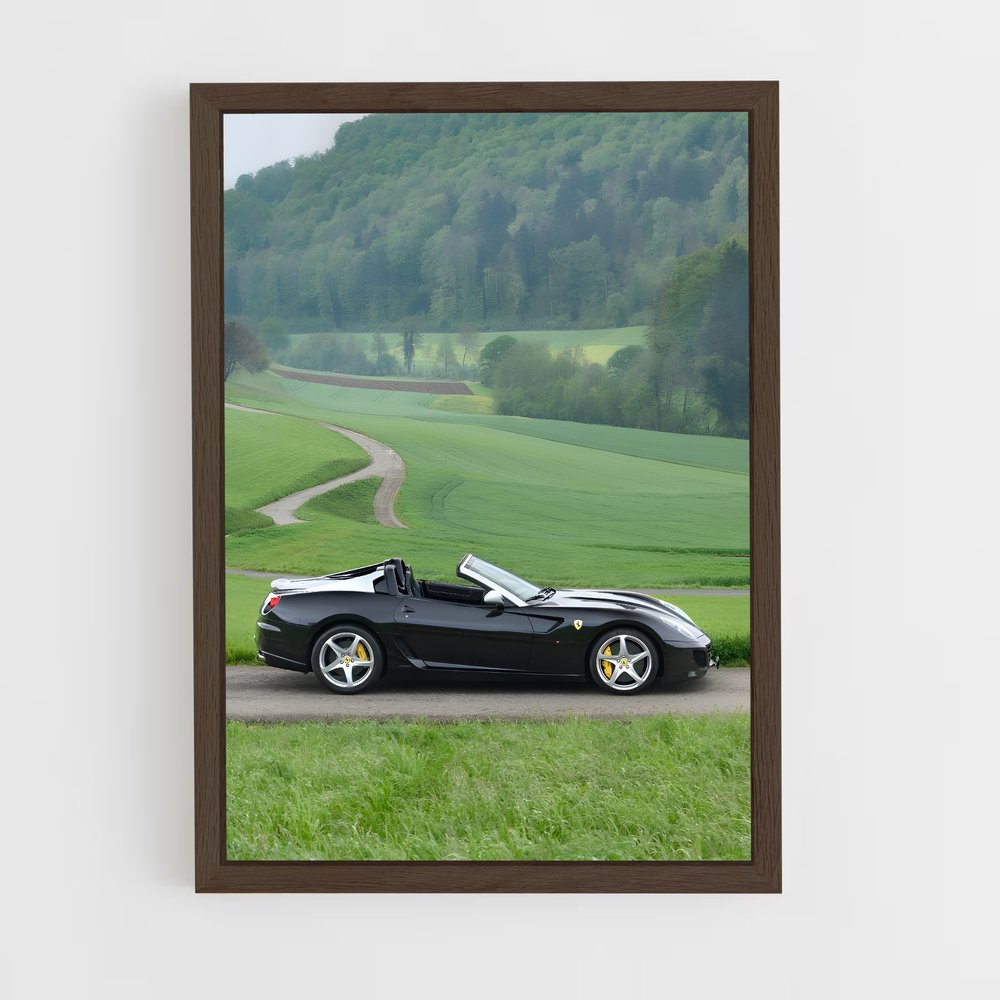 Poster Ferrari Sauvage (vue 5)